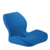Coussin Orthopédique Dos Confort Tout Usage, Coussin orthopédique bleu